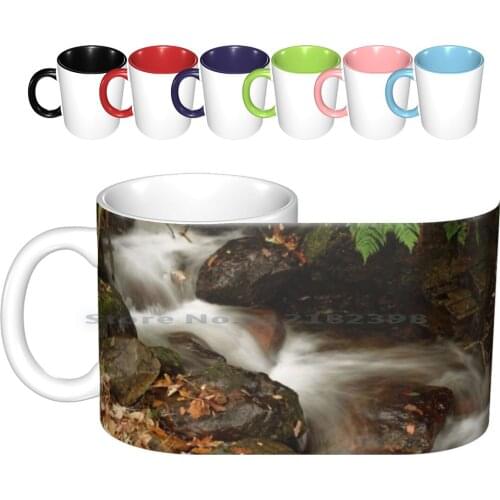Pass Falls Ceramic Mugs Coffee Cups Milk Tea Mug Andrew Saxtons Photos Whinlatter Pass Whinlatter Cumbria Cumbria Lake District