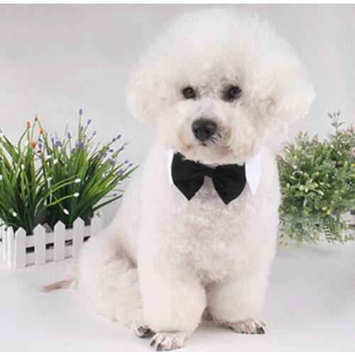 Pet Dog Cat Necklace Adjustable Strap Bow Tie Adorable Magic Sticker Closure Cotton Decorative Dog Collar Necklace Pet Supplies