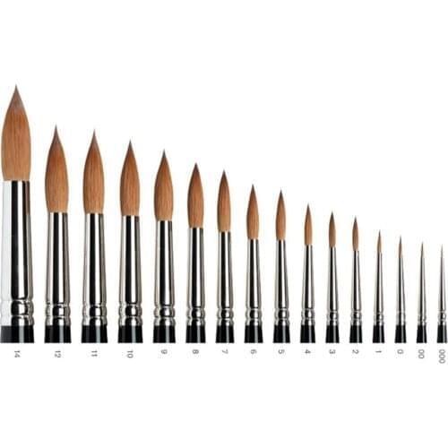 Winsor Newton Paint Brushes