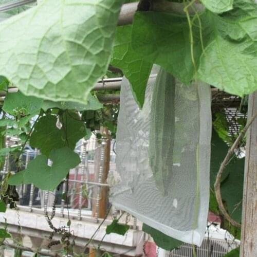 Tewango Food Bags