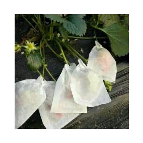 100pcs Fruit Protection Bags Against Insect Anti Bird Bag Pest Control For Strawberry Cherry Jujube