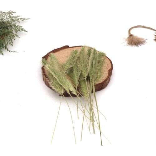 60pcs Pressed Dried Bristlegrass Flower Plant Herbarium For Photo Frame Nail Art Make Up Jewelry Bookmark Phone Case Card DIY