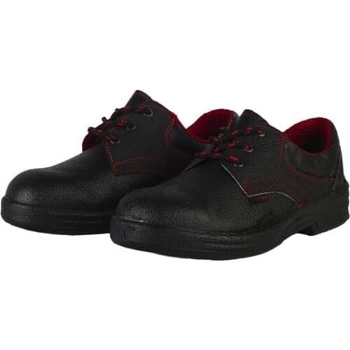 Business Shoe Winter 42 Number