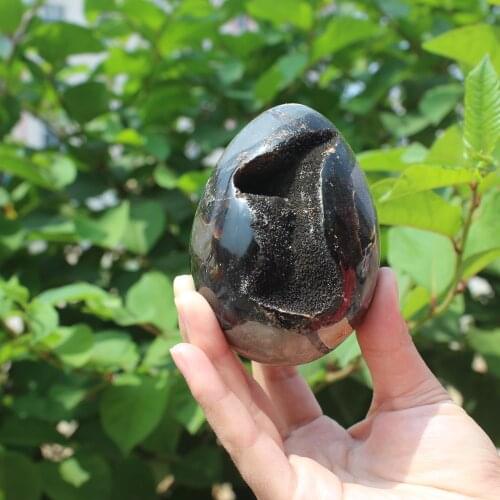 470g Natural curvature of the furnishing articles Turtle grain stone egg Ball Septarian nodule Fossil Crystal Healing quartz 17