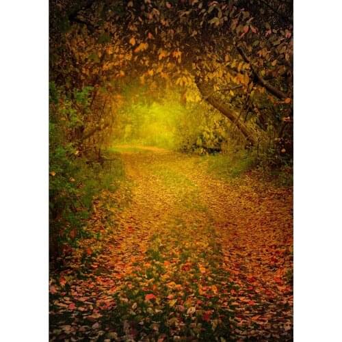 Dusky Forest Pathway Vinyl Photographic Backgrounds for Baby Children Backdrop Photo Studio Photobooth Photo Shooting Photophone