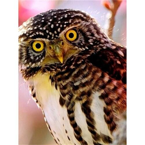 3D Icon owl Diamond Embroidery Animal DIY Diamond Painting Resin Full Square Drill Needlework Mosaic Home Decor picture A5806R
