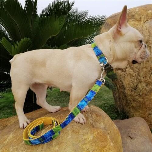 Quality Luxury Designer Dog Collars Personalized ID Maya Folk Patterns Pet Collar and Leash Set Quick Release Dog Leads