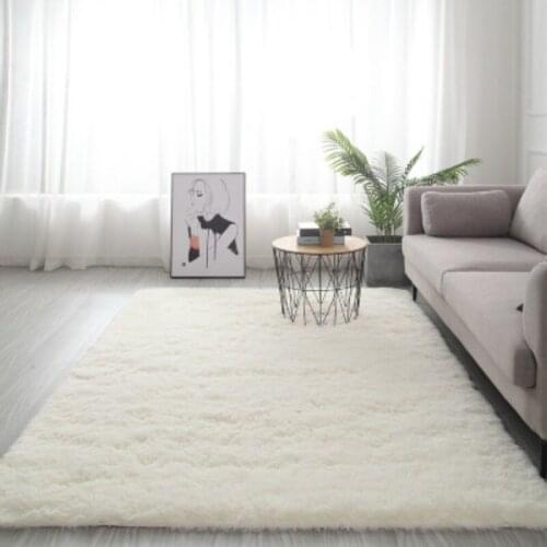 Winter Fashion Soft And Easy-Care Long Hair Carpet Living Room Coffee Table Boy And Girl Bedroom Bedside Carpet