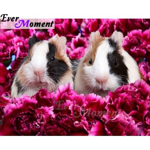 Ever Moment Diamond Painting Full Square Drill Handmade Hamster 5D DIY Mosaic Diamond Embroidery Decoration For Home ASF1551