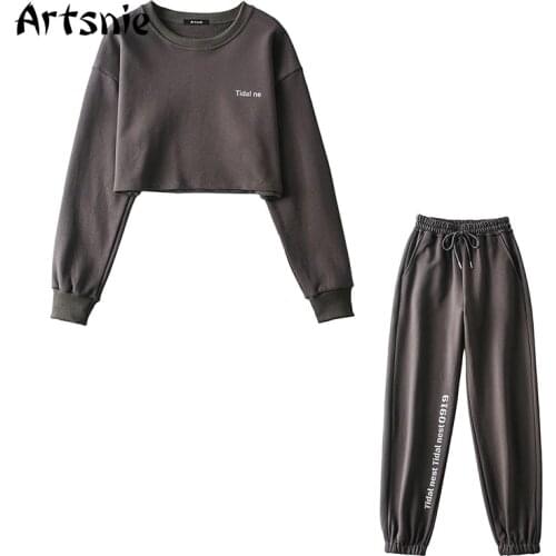 Artsnie Spring 2021 Two Piece Set Women Sweatshirt Harem Pant Trouser Tracksuits Dark Gray Sportwear Suits Two Piece Set Outfits