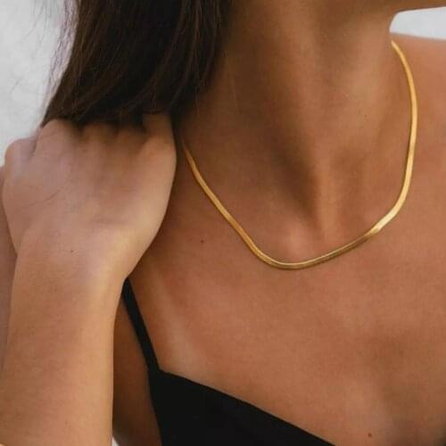 Caraquet Golden Flat Blade Snake Link Chain Choker Necklace Simple Collar Necklaces for Women Fashion Statement Jewelry Gift