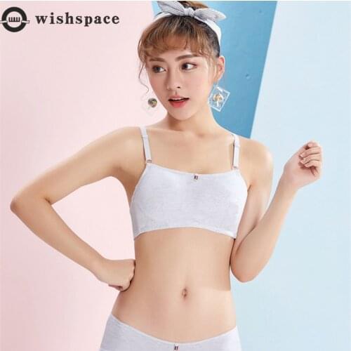 Cotton Underwear Female Puberty Young Girl with Students Junior Middle School Students Have No Rims Bra Girls That Wipe a Bosom