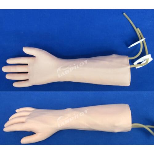 IV Training Hand Model,Hand veinpuncture model