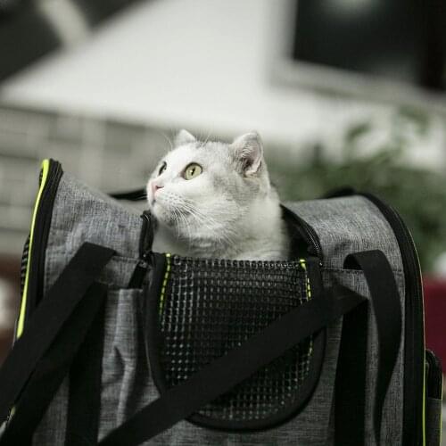 Pet Backpack Outdoor Travel Pet Carrier For Cat Dog Bag Car Portable Multifunctional Durable Backpack Cat Accessories