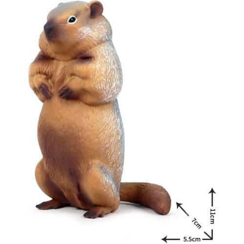 5.5*7*11CM Children solid simulation wild animal world toy groundhog squirrel plastic model decoration