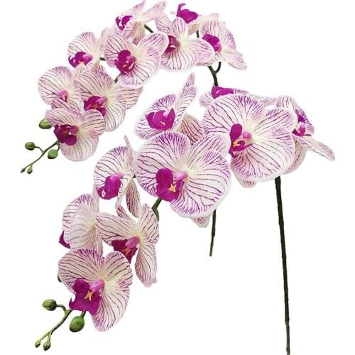 2Pcs Real Press Orchid Stems Flowers Artificial Phalaenopsis Branches 9 Large Petals 38 Inches