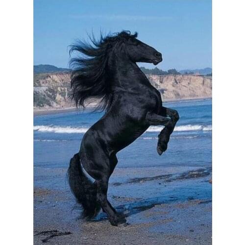 5D Full Square/Round Diamond painting Wild horse Diamond Embroidery Seaside rhinestones mosaic diamond pictures L155