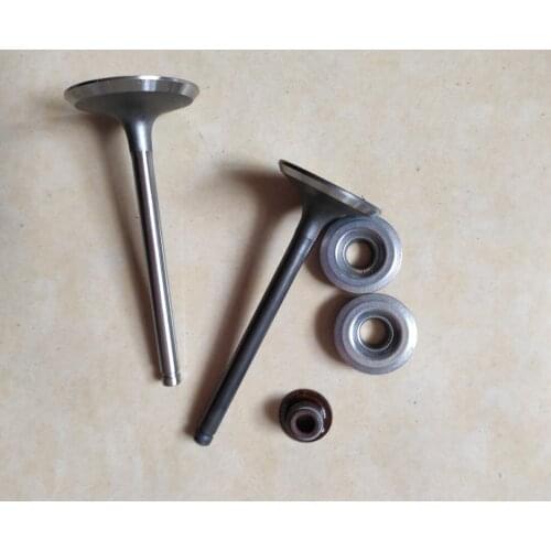 GT1300 GM390 GM401 INTAKE VALVE AND EXHAUST VALVE VALVE SEAT OIL SEAL 13HP MGE6700