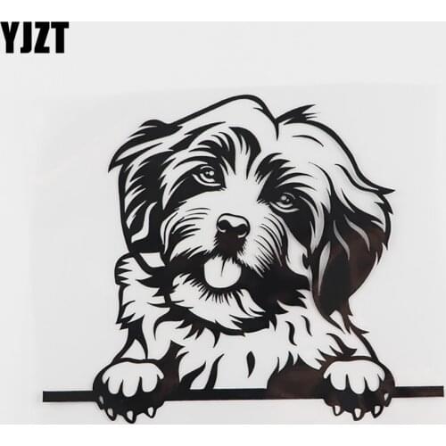 YJZT 15.1CMX12.4CM Funny Havanese Dog Peeking Decal Vinyl Car Sticker Black/Silver 8A-0107