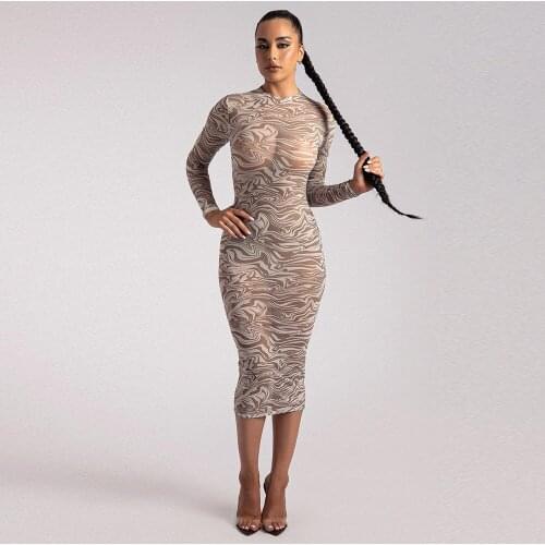 New Fashion High Quality Womens Mesh High Elasticity Printing Zebra Pattern Long Sleeve Tight Sexy Mid Length Dress L06