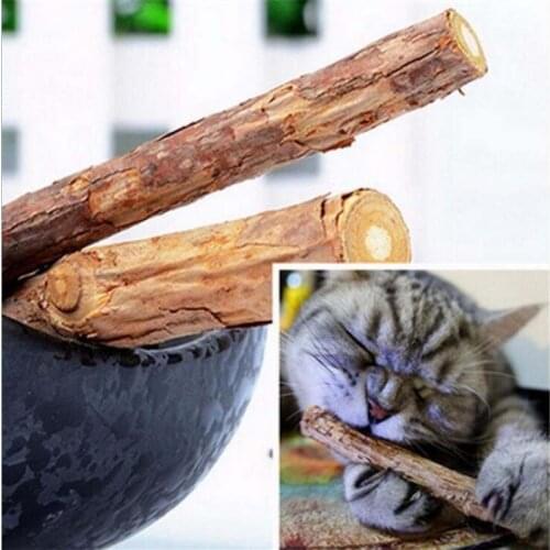 5PCS Cat cleaning teeth Pure natural catnip pet cat molar Toothpaste stick silvervine actinidia cat snacks sticks tooth care