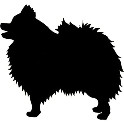 14*13CM Pomeranian Dog Bumper Sticker Species Animals Pets Dogs Motorcycle Car Stickers And Decals C2-0010