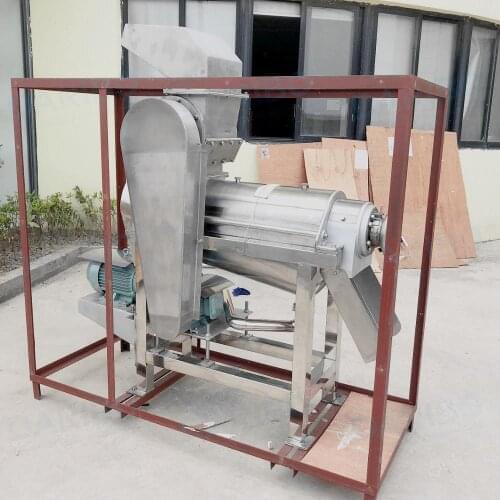 Hot Sale Screw Crushing Juicer, Apple Juicer, Juice Machine FREE CRF BY SEA