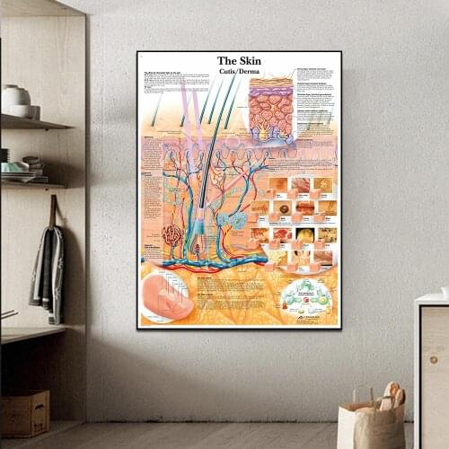 Anatomy Dissection Skin Anatomical Charts Posters Laminated Canvas print Wall Pictures for Medical Education Home Decor