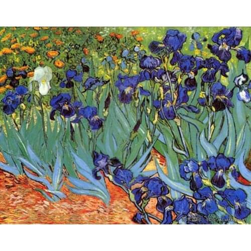 Vincent Van Gogh Oil Painting reproduction on linen canvas,Irise , Free DHL Shipping,100% handmade,Museum quality