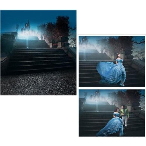 DAWNKNOW Vinyl Photography Backdrops Cinderella Fairy Tale Background Children Wedding photo studio Castle Night CM6743