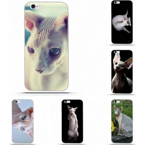Wexoeq Great Friendliest Sphynx Cat For HTC Desire 530 626 628 630 816 820 One A9 M7 M8 M9 M10 E9 Plus U11 For Moto G G2 G3