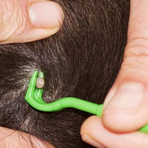 3PCS Cat Dog Grooming Tick Picker Pet Flea Remover Tool Scratching Hook Removal Pets Cleaning Comb Pet Flea Remover Tool 2021