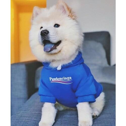 French bulldog blue hoodie Pet clothes on the back hooded sweater tide brand coat French Bulldog dog clothes