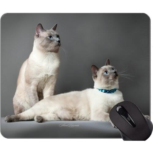 Gaming Mouse Pad Custom,Couple Siamese Cat Animal Cat Blue Home Office Computer Accessories Mousepads