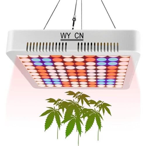 10000W Full Spectrum No Strobe Led Grow Light Sunlike Phytolamp For Indoor Plants Hydroponic Systems