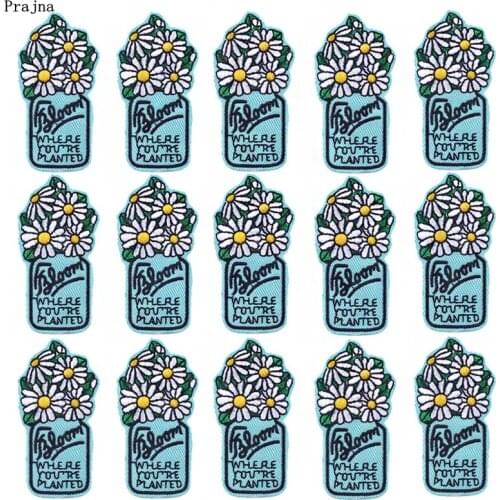 Prajna 10PCS Cartoon Flower Bottle Patches Iron On Patches On Clothes Applique Embroidered Patches For Clothing DIY Stripe Cloth