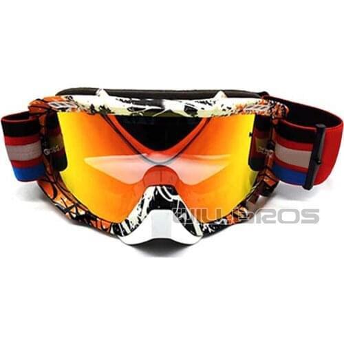 Delicate Fox Motorcycle Glasses