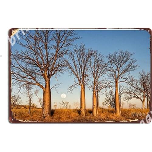 Kimberley Boabs At Sunset Metal Signs Design Cinema Kitchen Wall Decor Party Tin sign Posters