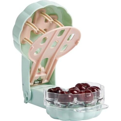 AIHOME Pitting Machines