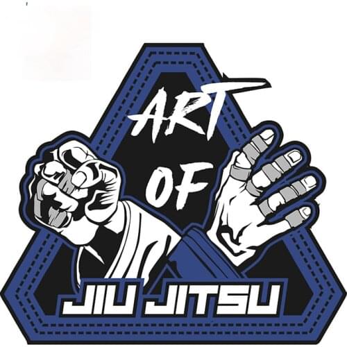 Art of Jiu Jitsu Funny JDM Car Stickers DIY Occlusion Scratch Body for Car Waterproof Vehicle Decal Apply To Car Window Laptop