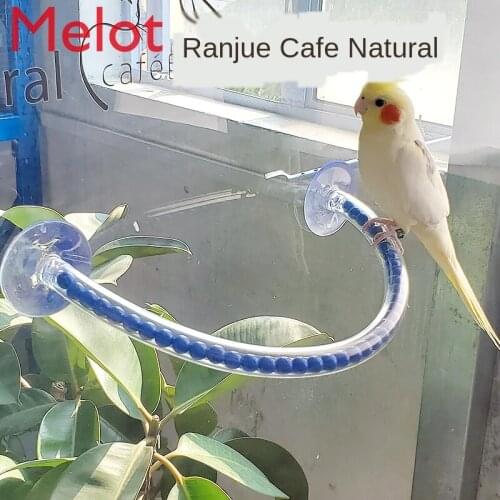 Parrot Stand Glass Window Bathroom Tile Bath Suction Cup Fixed Bird Stand Stand Stand Rod Interactive Training Item
