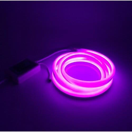 LED Strip Neon Light Lamp 220 Volt RGB Color Changing with Remote Controler European Standard Power Plug Adapter 1m 2m 3m 5m 10m