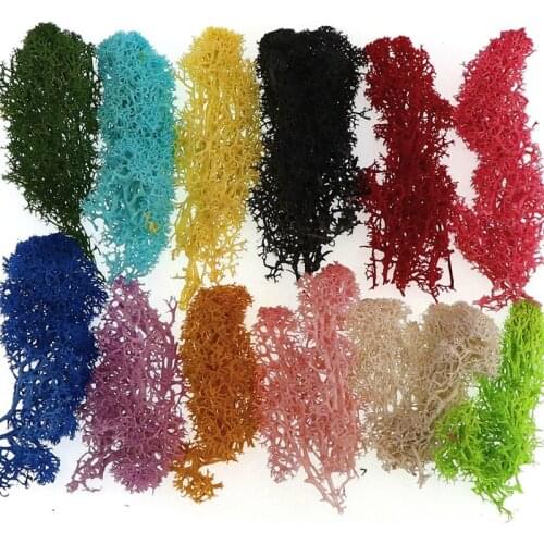 DIY High Quality Artificial Green Plant Immortal Fake Flower Moss Grass Home Living Room Decorative Wall Flower Mini Accessories