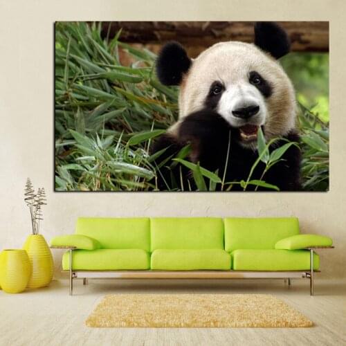 Canvas Painting Animal Bamboo Panda Bear Canvas Poster Print for living room bedroom home decoration
