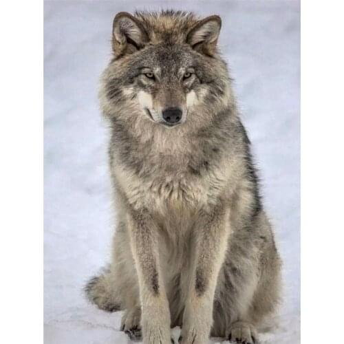 Wolf Animals Winter Printed Water-Soluble Canvas 11CT Cross-Stitch Set DIY Embroidery DMC Threads Handicraft Decor