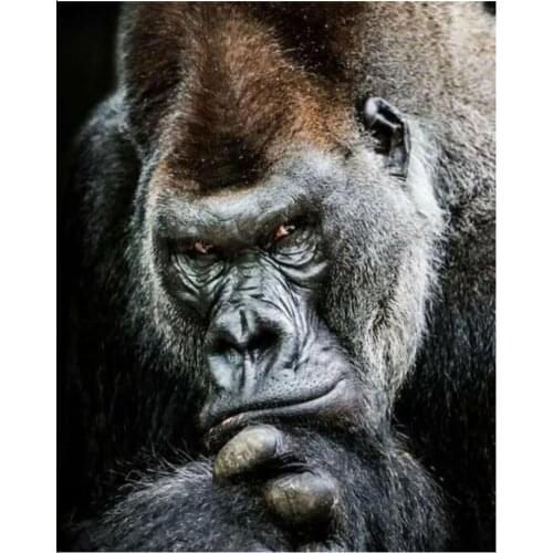 Orangotango pattern Diamond Painting animal DIY 3D Diamond Embroidery sale hobby art Cross Stitch Mosaic Picture by Number decor