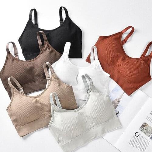 Push Up Solid Sports Bra Cotton Sports Bras Women Jogging Gym Women Sports Bra Girl Underwear Fitness Running Yoga Sport Tops