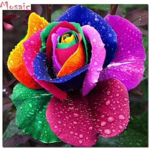 Full Square Round Drill 5D DIY Diamond Painting colorful rose Flowers Embroidery Cross Stitch Mosaic Home Decor Cross Stitch