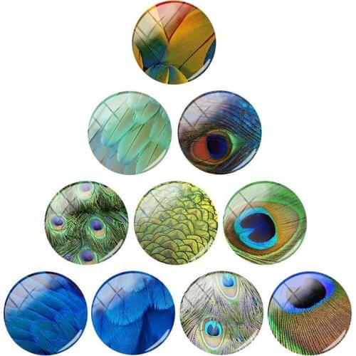 TAFREE NEW Colorful Peacock Birds feather 12/15/16/18/20/25/30 mm Round Handmade Photo Glass Cabochons Dome Cover Pendant WL827