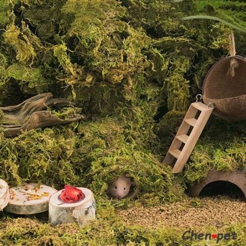Small Pet Cage Decoration Hamster Natural Moss Bedding Chinchillas Wooden Toy Grass for Small Pet Habitats Mini Animal Supplies